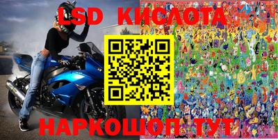 стаф Новозыбков