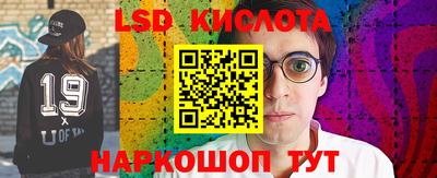 стаф Новозыбков