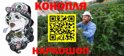 амф Новокубанск