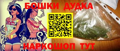 гашик Новодвинск