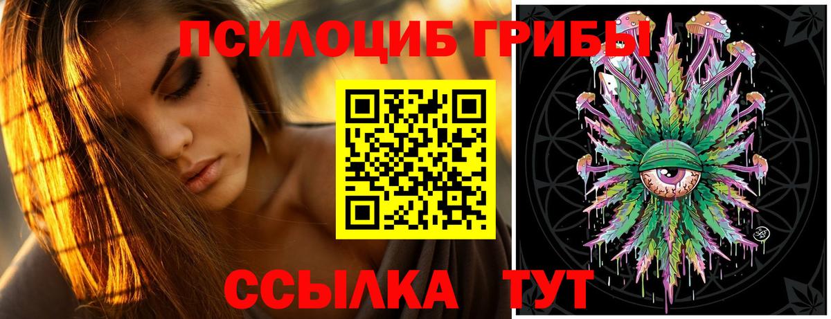 Галлюциногенные грибы мицелий Россошь